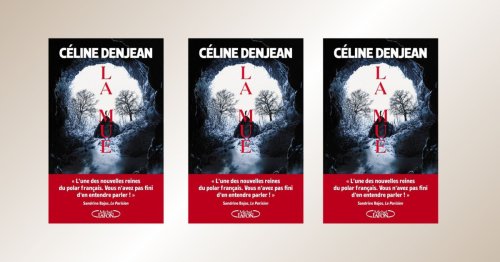 Ce thriller psychologique, écrit par une autrice française, est l'un des meilleurs à lire cette année