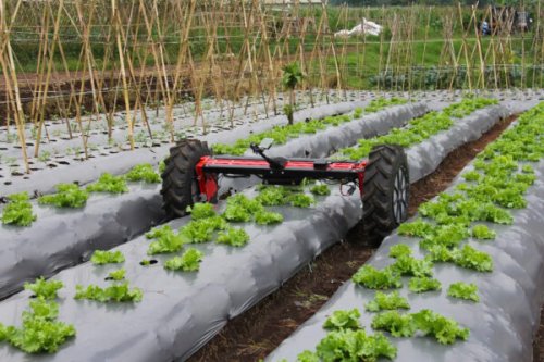 How digital farmhands will force rural communities to adapt