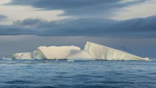 Regime shift probably underway in Antarctica as research groups flag warning