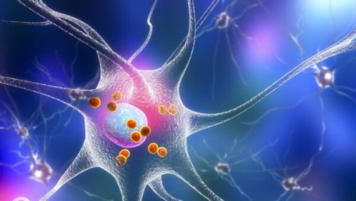 New hypothesis implicates environmental chemicals in Parkinson’s cause