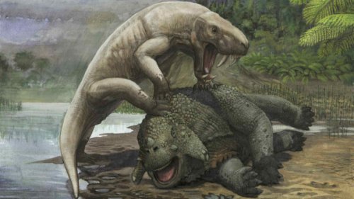 Mammal ancestors evolved a killer instinct