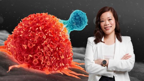 Understand T cells will unlock the keys to our immune system