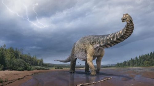 9 dino-mite dinosaur stories that will have you roaring
