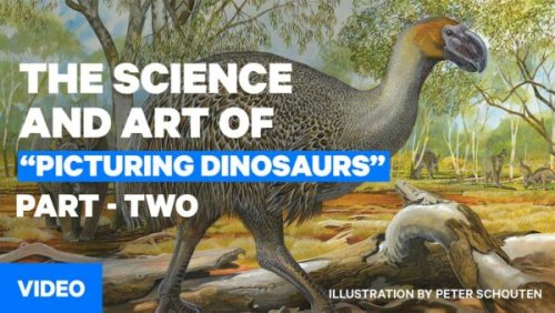 New Australian palaeo book illustrated by hand