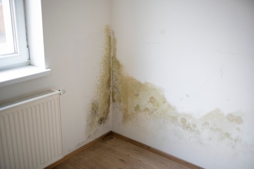 Forget spring flooding: here are 4 other sources of cottage water damage