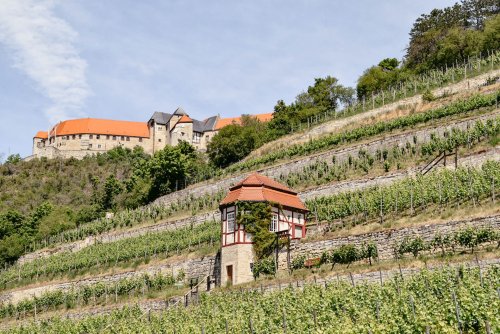 Die Saale Unstrut Region – Die schönsten Ziele in der Weinregion