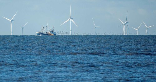 Énergie. Coup d’arrêt “sans précédent” dans le secteur éolien au Danemark