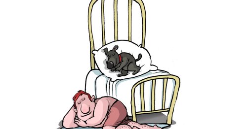 La pilule philosophique. Un chien boueux est-il sale ? Chacun se fera sa propre idée