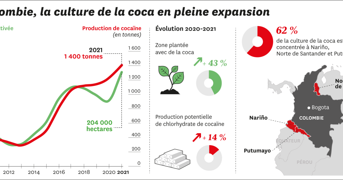 L’infographie du jour. Les plantations de coca en Colombie ne cessent de regagner du terrain
