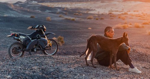 En salle. “Black Dog”, une fable âpre et minimaliste sur une société chinoise désabusée