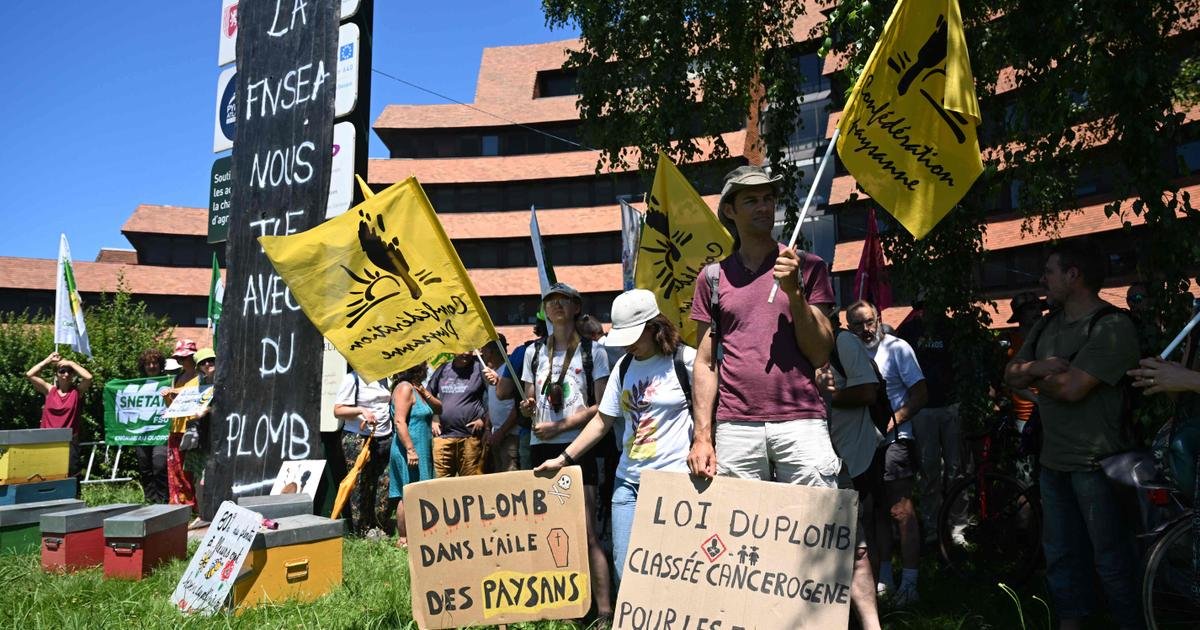 Vu du Royaume-Uni. “Jouer ma santé à la roulette” : la France en ébullition contre la loi Duplomb