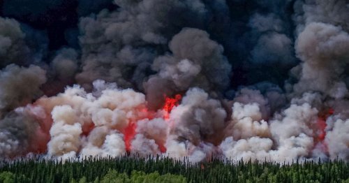 Environnement. Un feu de forêt détruit un “joyau de la nation innue” au Québec