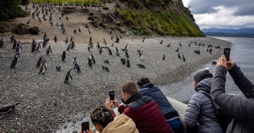 Reportage. Ushuaia, la ville du “bout du monde” victime de son succès touristique