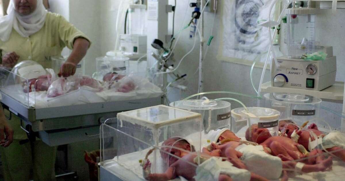 Surpopulation. Le grand mufti d’Égypte légitime la contraception contre l’“explosion démographique”