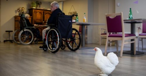 Vu des Pays-Bas. À Guingamp, l’Ehpad de Kersalic rend leur humanité à ses résidents
