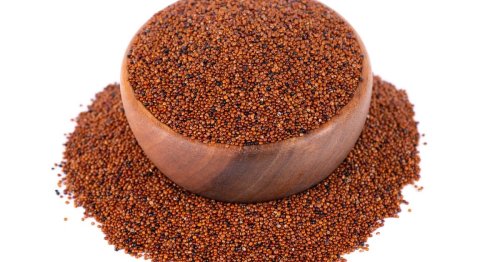 Reportage. La cañahua, cette alternative au quinoa qui suscite l’espoir en Bolivie