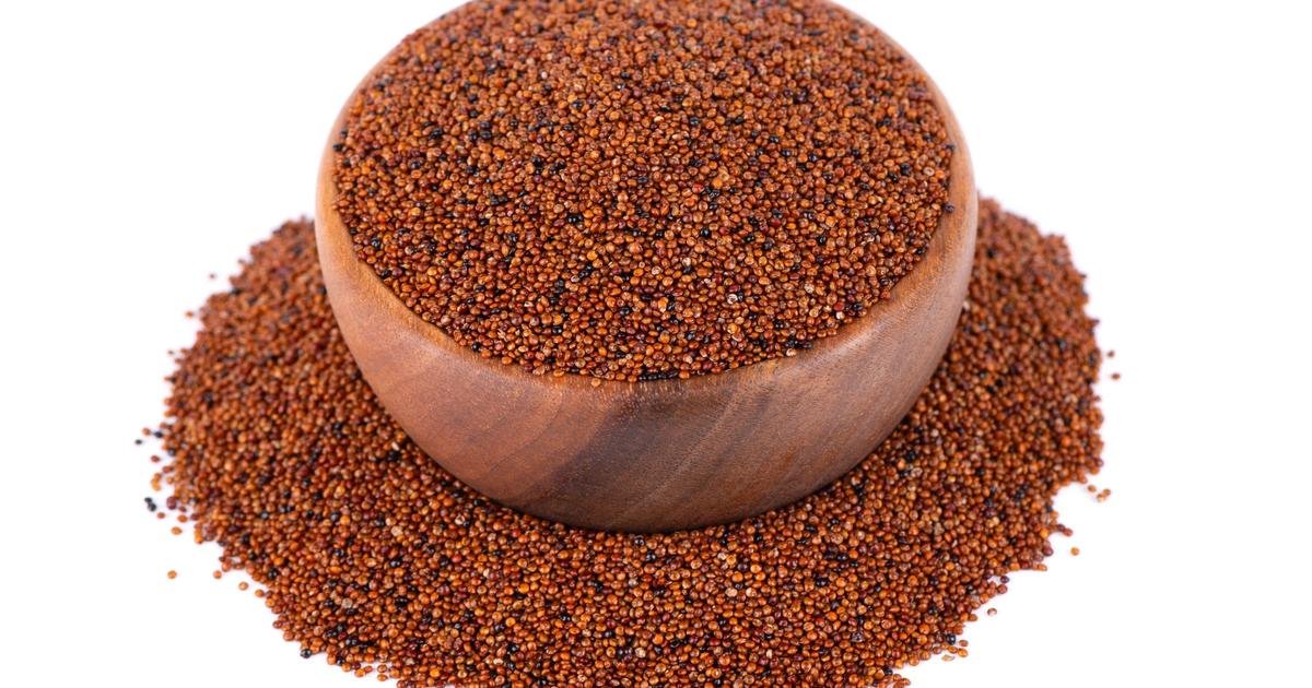 Reportage. La cañahua, cette alternative au quinoa qui suscite l’espoir en Bolivie