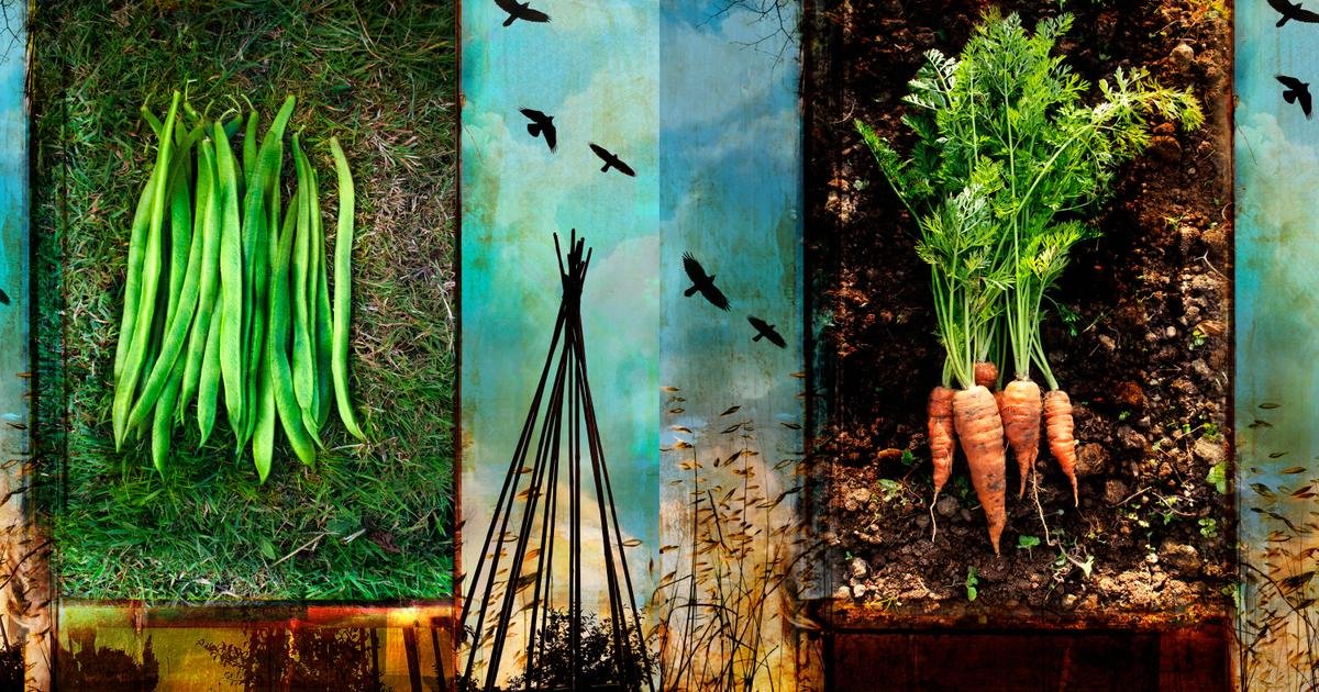 Climat. En Europe, l’agriculture doit s’adapter : “On ne peut plus faire comme nos parents”