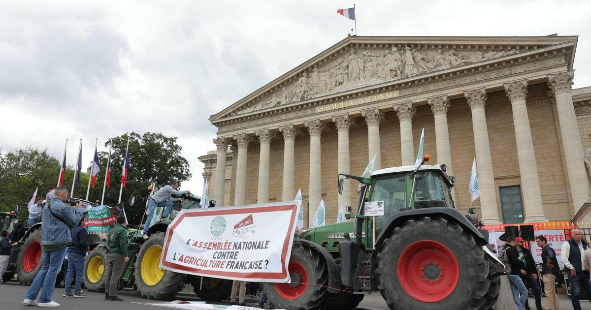 Vu du Royaume-Uni. Avec la loi Duplomb sur l’agriculture, la France “semble faire machine arrière”