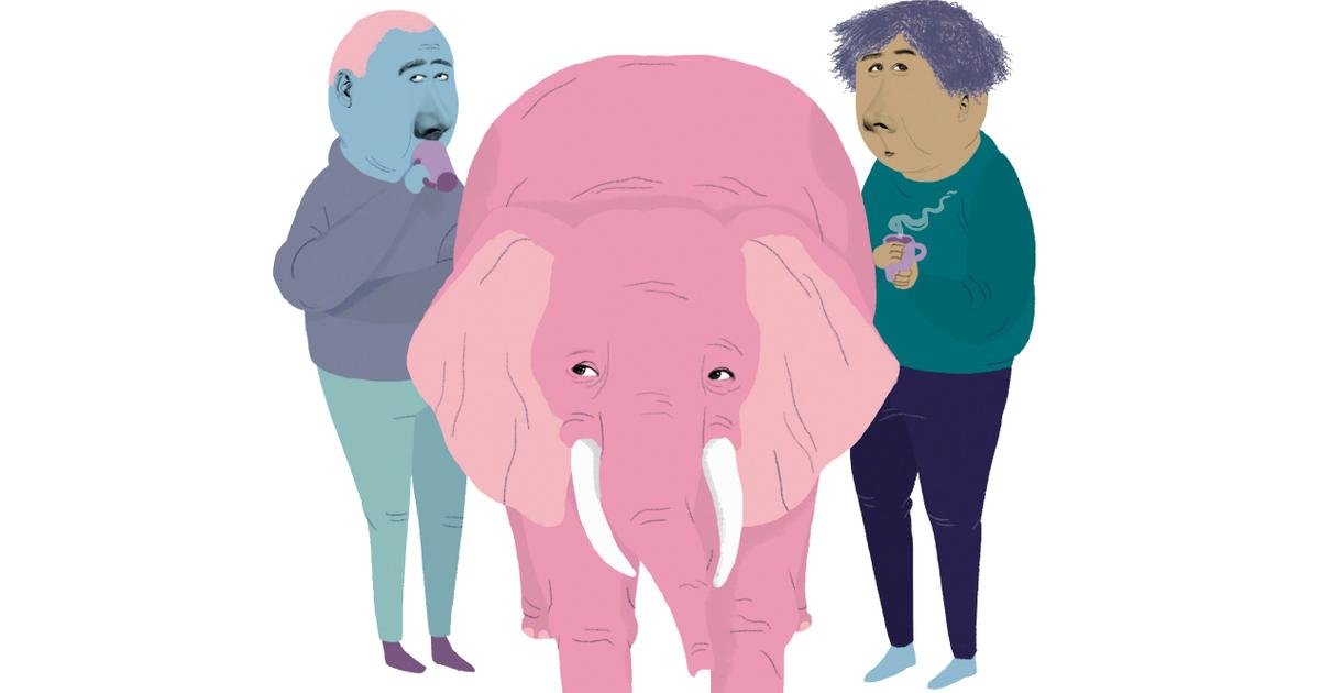 Série d’été. Dans ce village népalais, on a appris à vivre en harmonie avec les éléphants