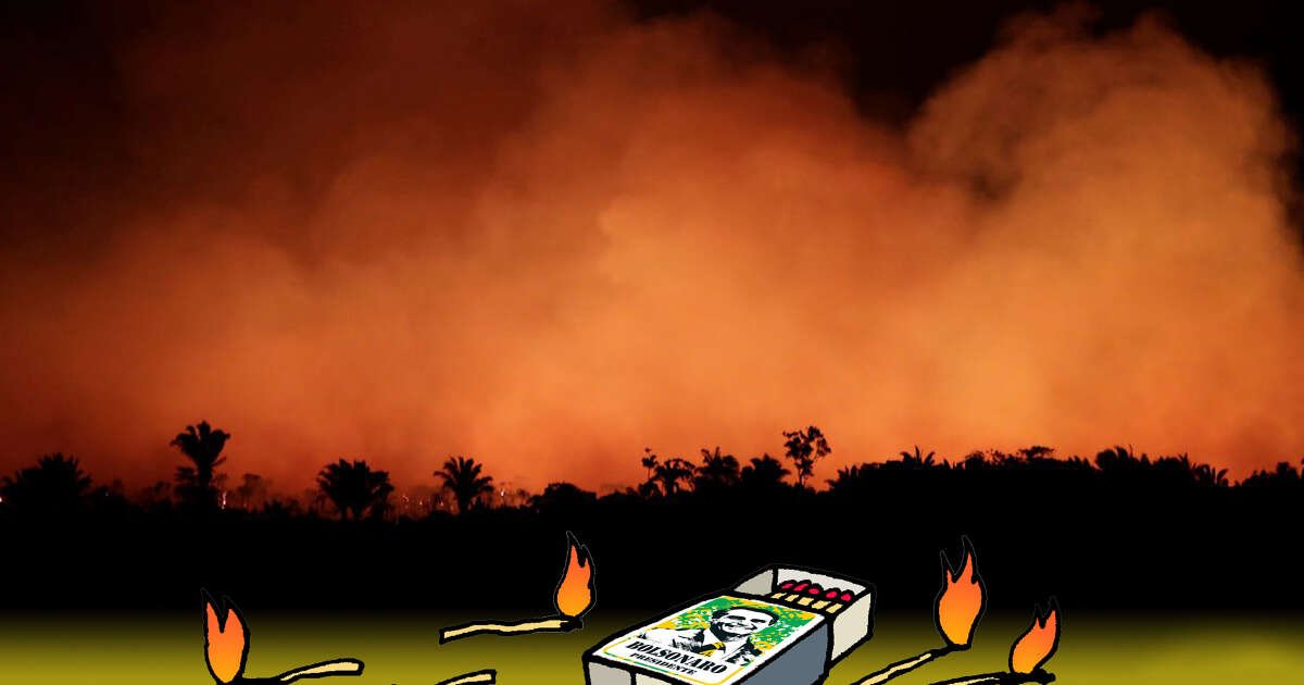 Déforestation. À la veille des élections, l’Amazonie brésilienne brûle comme jamais