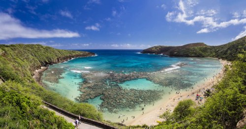 Tourisme. Des scientifiques s’appuient sur Instagram pour étudier les coraux d’Hawaï