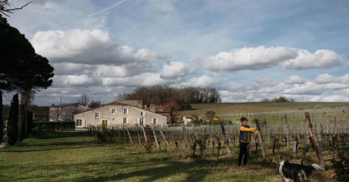 Vu du Royaume-Uni. Dans le Bordelais, la désillusion des acheteurs chinois de vignobles