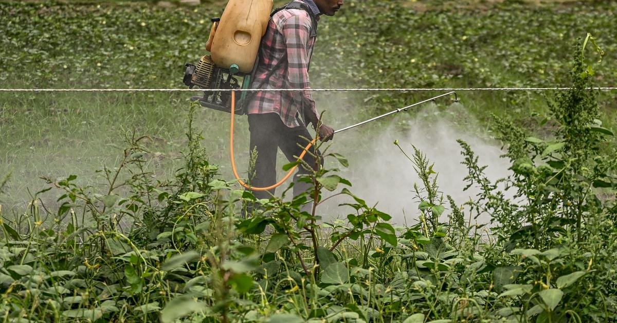 “Je dors à peine quatre heures” : des pesticides à en perdre le sommeil