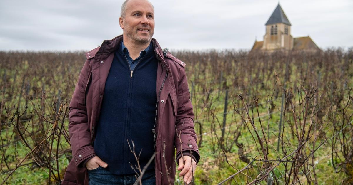 Vu des États-Unis. Le chablis, un trésor français en danger