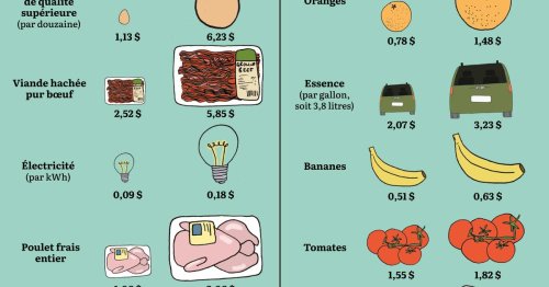 Infographie. L’inflation américaine illustrée par 10 produits