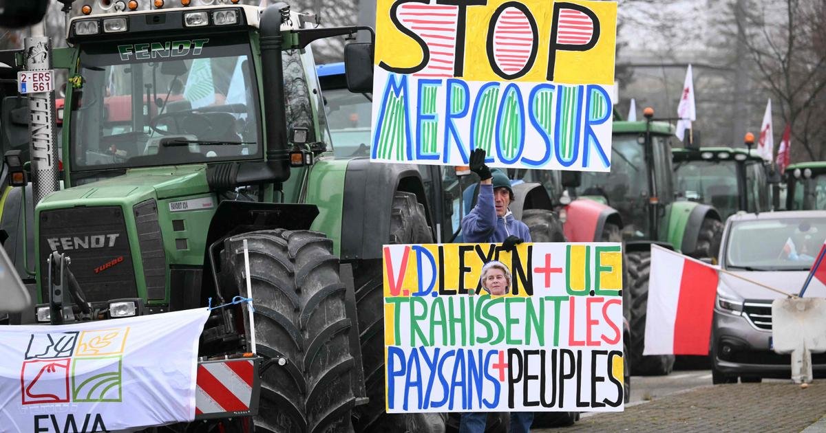 Vu du Royaume-Uni. Plutôt que l’UE, les agriculteurs français devraient blâmer leurs gouvernements