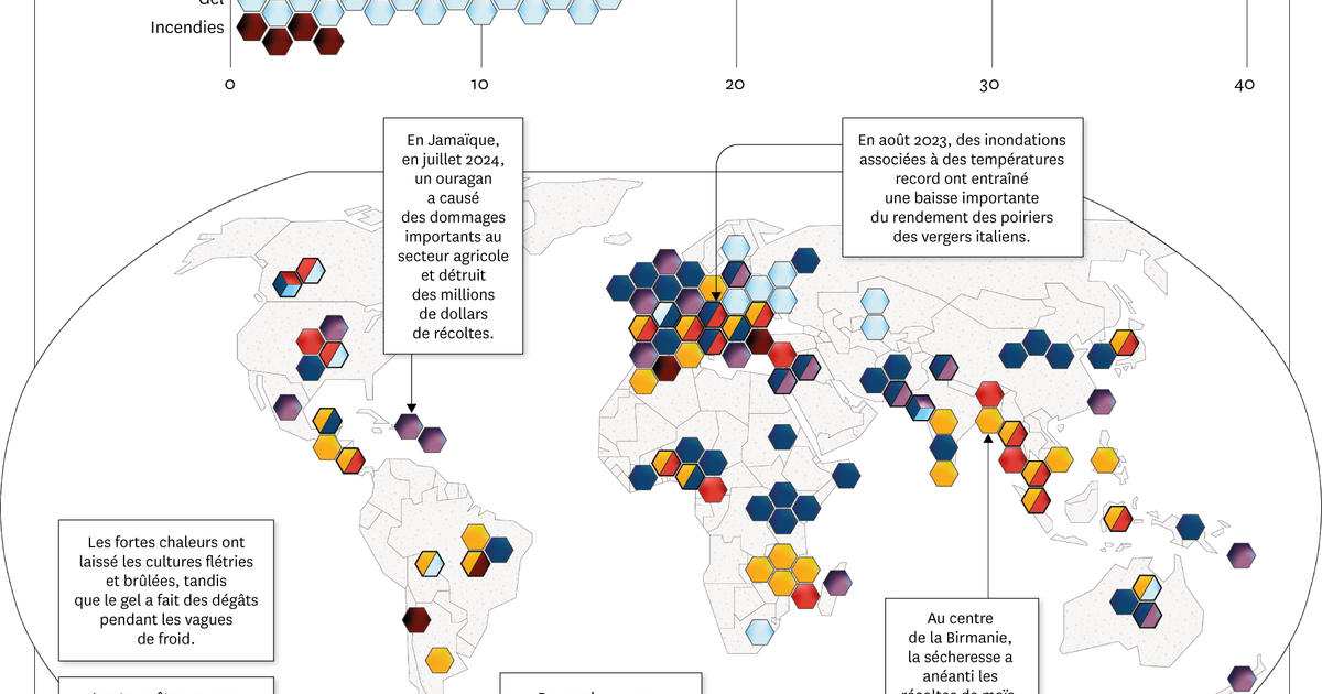 Infographie. Où ont eu lieu les événements météo les plus dévastateurs pour l’agriculture ?