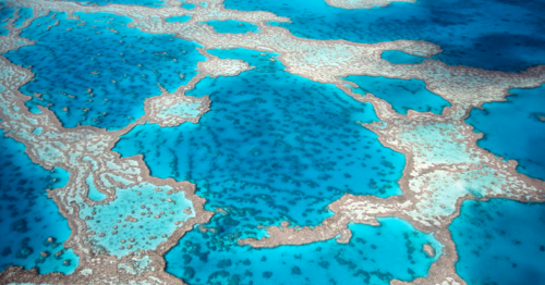Environnement. L’Australie bloque un projet minier pour protéger la Grande Barrière de corail
