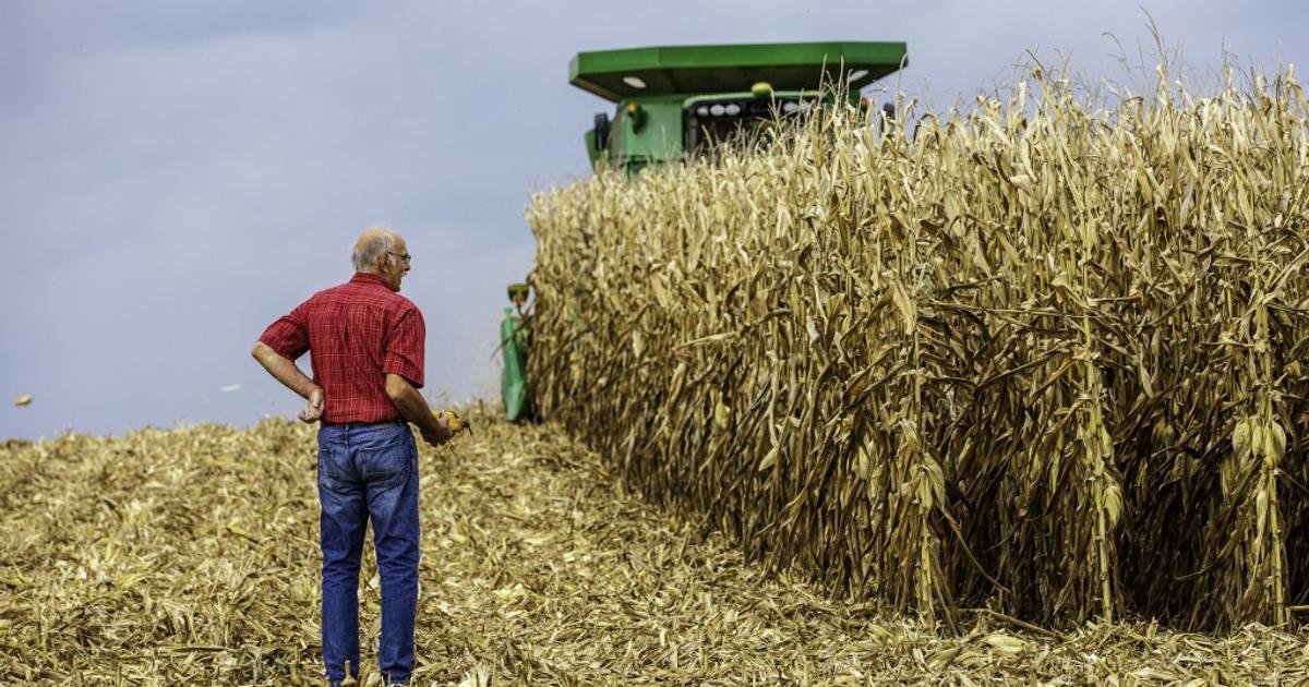 Géologie. L’agriculture moderne érode les sols à toute allure