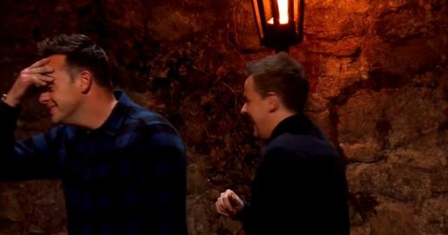 Dec flooded with praise after remark within seconds of I'm A Celeb starting