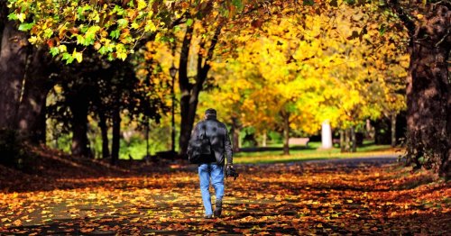 Summer ends tonight - autumn equinox 2021 and all you need to know