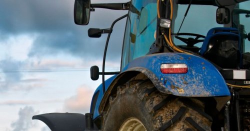 Brexit and Covid mean farmer has to throw away acres of crops