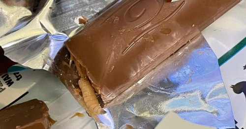 NHS worker 'finds live maggot' in Galaxy chocolate bar