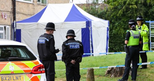 Teen bragged about stealing pensioner's money hours after murdering him, court told