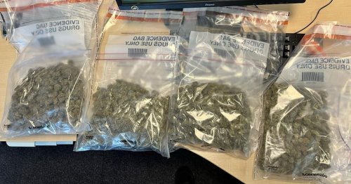Drug dealers warned 'we will be seeing you soon' after police find cannabis and cash in raid