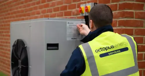 OVO, Octopus, British Gas, EDF customers and others can get £150 off electricity bills