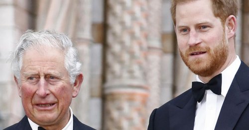 Prince Harry and King Charles set for 'short and formal' meeting with 'strict rules'