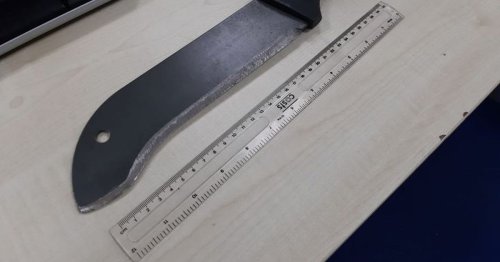 Machete seized and men detained in Stratford as crowds enjoy festival