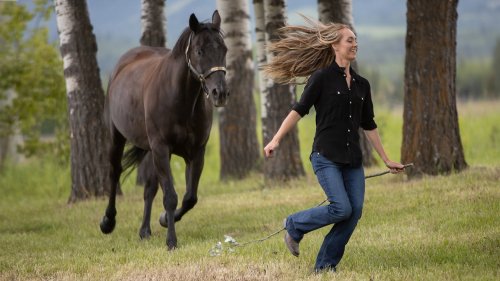 Did You Know Spartan On Heartland Is Now Played By Amber Marshall’s Real-Life Horse?