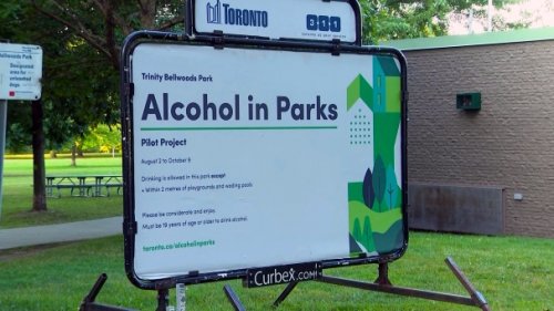 Toronto councillors vote to make program that allowed alcohol drinking in several parks permanent