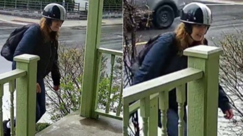 Toronto police release images of alleged porch pirate