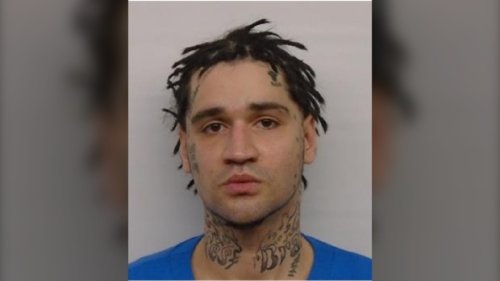 Toronto police say they are looking for a 'high risk offender' with a 'history of violent offences'