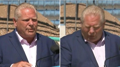 Doug Ford swallows bee during live news conference