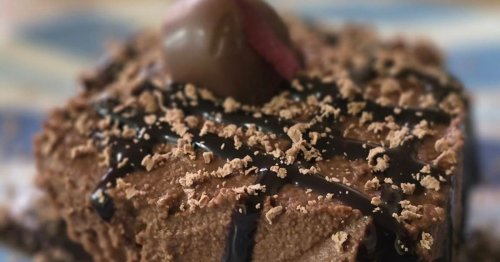 Daily Community Spotlight - cover