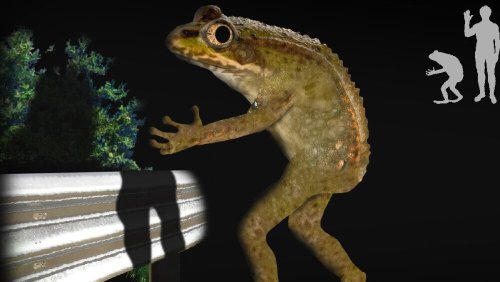 Meet The Lamest Cryptid: Ohio's Loveland Frog - Flipboard